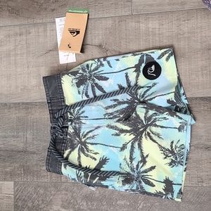 Quicksilver swim trunks for toddler boys